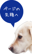 ページの先頭へ